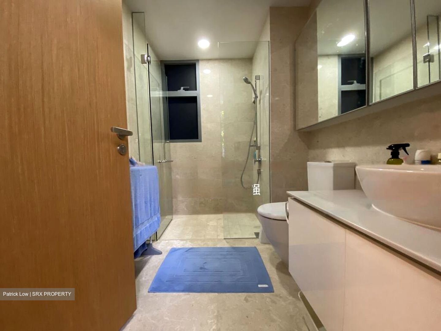 Mon Jervois (D10), Condominium #424639821